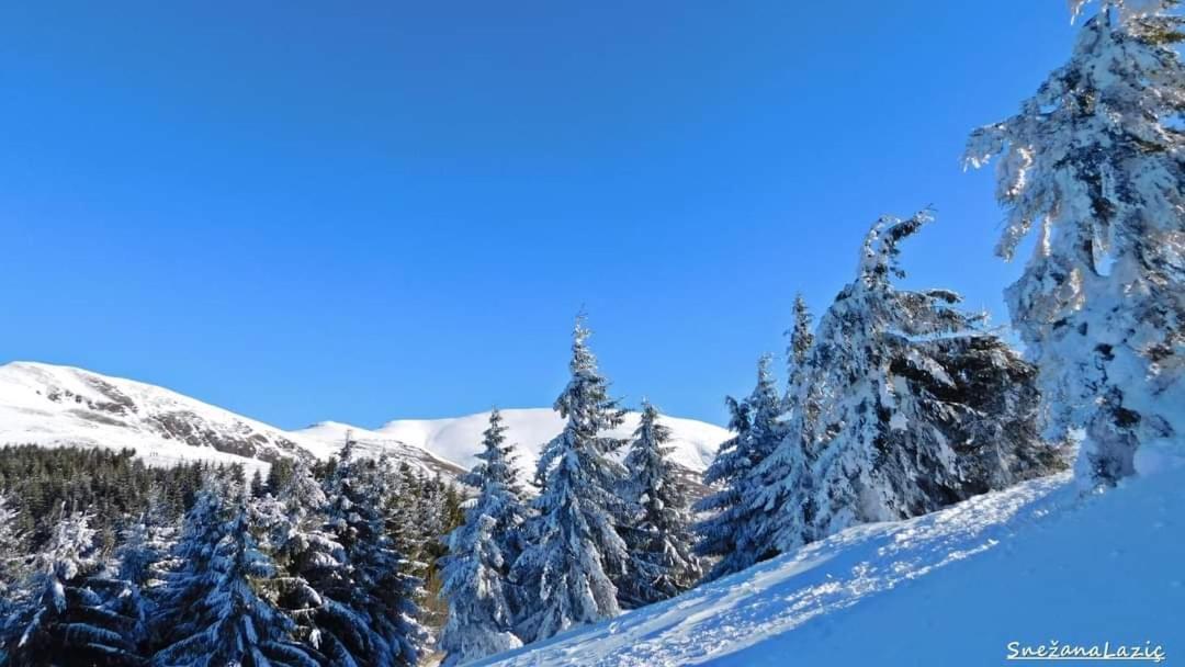 Stara Planina Vila Vesela Kuca Jalovik Izvor Dış mekan fotoğraf