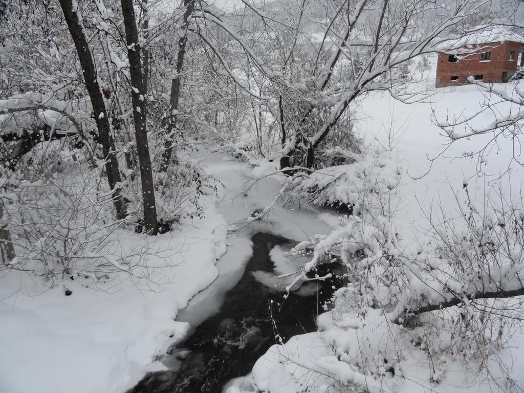 Stara Planina Vila Vesela Kuca Jalovik Izvor Dış mekan fotoğraf