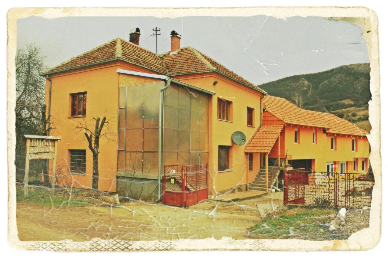 Stara Planina Vila Vesela Kuca Jalovik Izvor Dış mekan fotoğraf